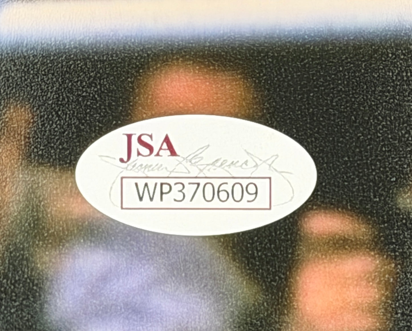 James Douglas Signed/Autographed 16x20 Photo Boxing JSA 212044