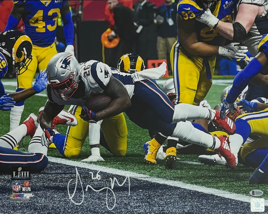 Sony Michel Signed/Autographed 16x20 Photo Patriots BAS 212057