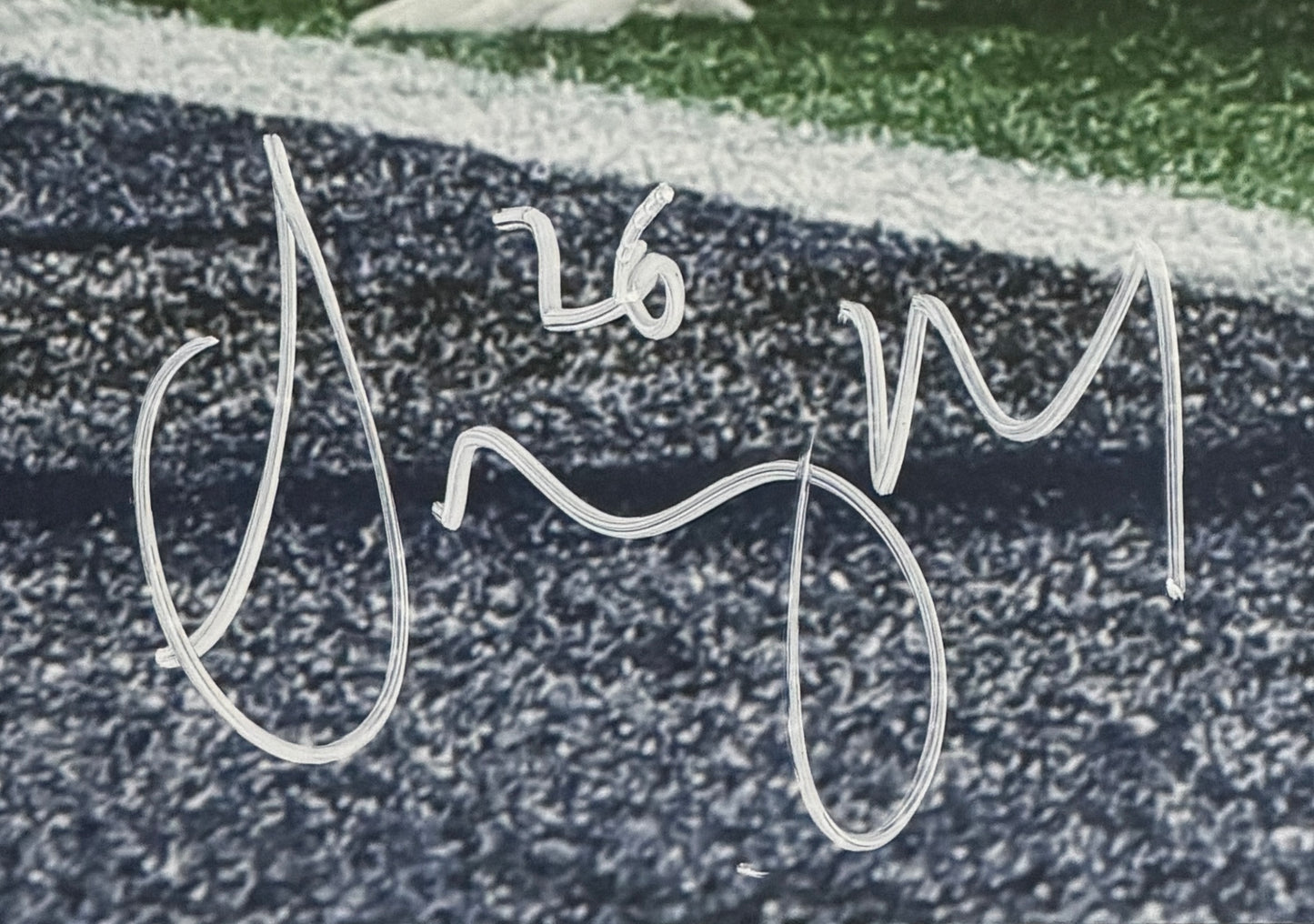 Sony Michel Signed/Autographed 16x20 Photo Patriots BAS 212057