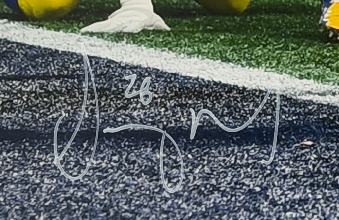Sony Michel Signed/Autographed 16x20 Photo Patriots BAS 212059