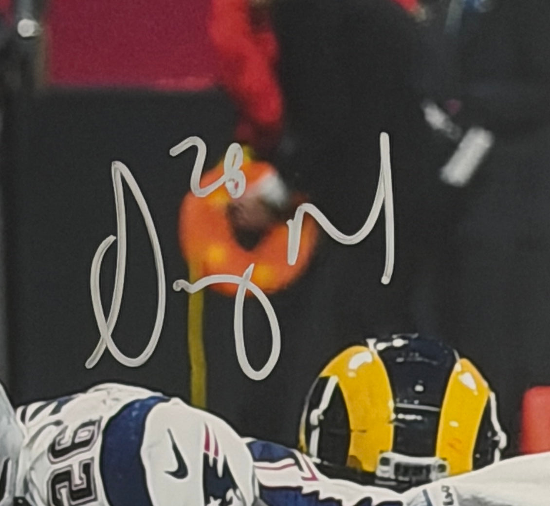 Sony Michel Signed/Autographed 16x20 Photo Patriots BAS 212059