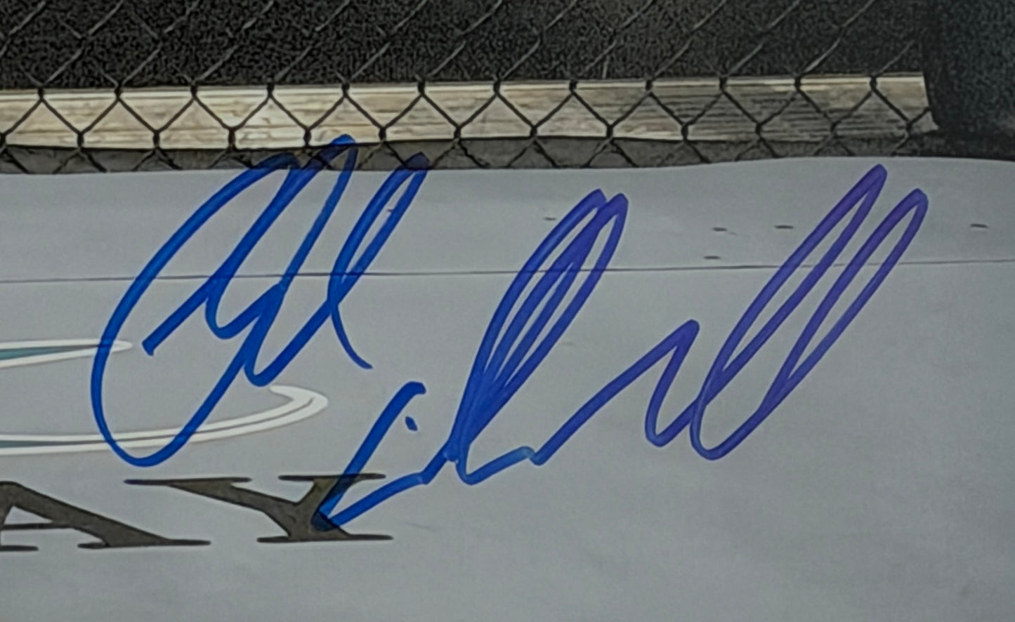 Chuck Liddell Signed/Autographed 16x20 Photo UFC HOF BAS 212061