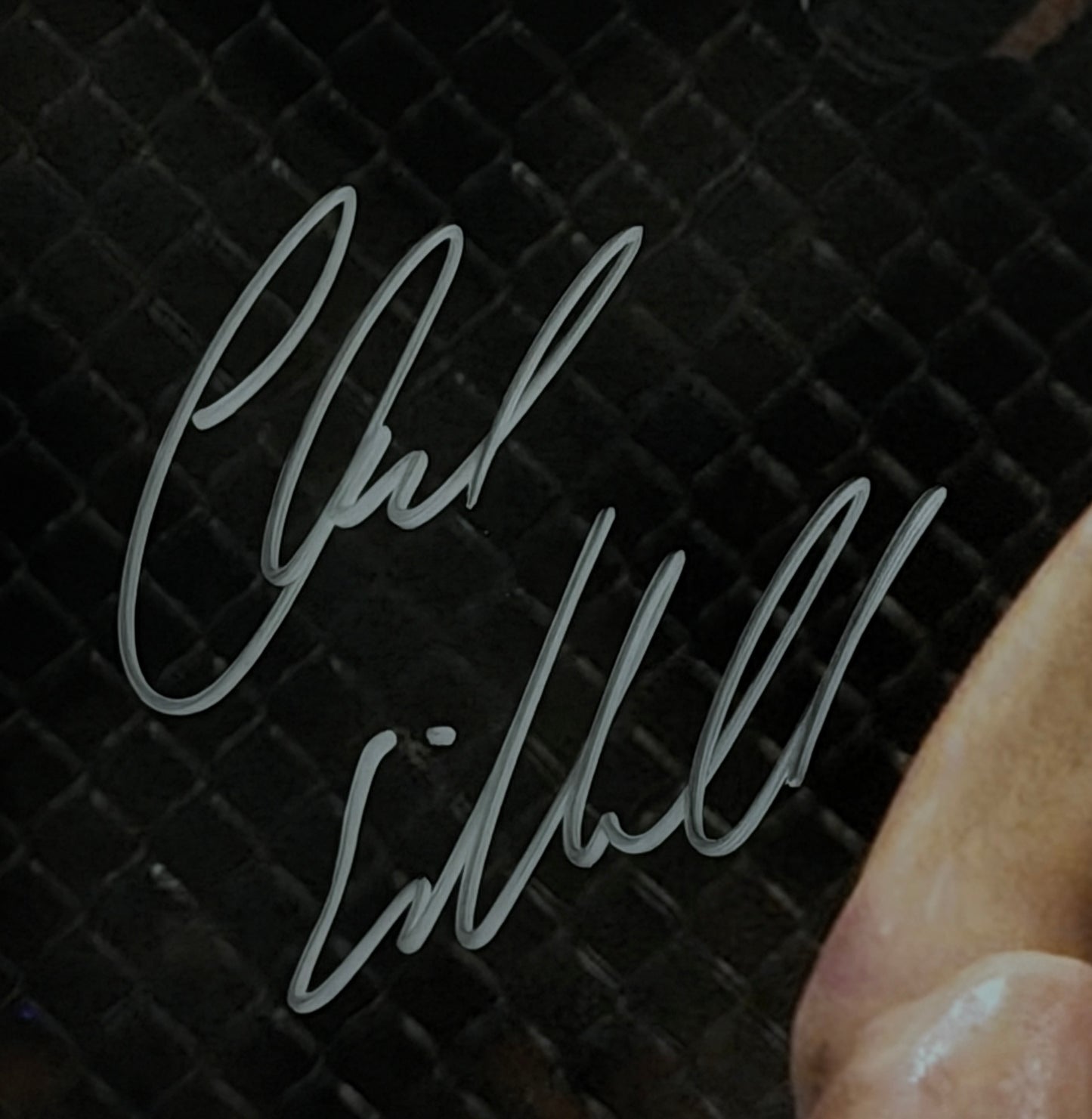 Chuck Liddell Signed/Autographed 16x20 Photo UFC HOF BAS 212062
