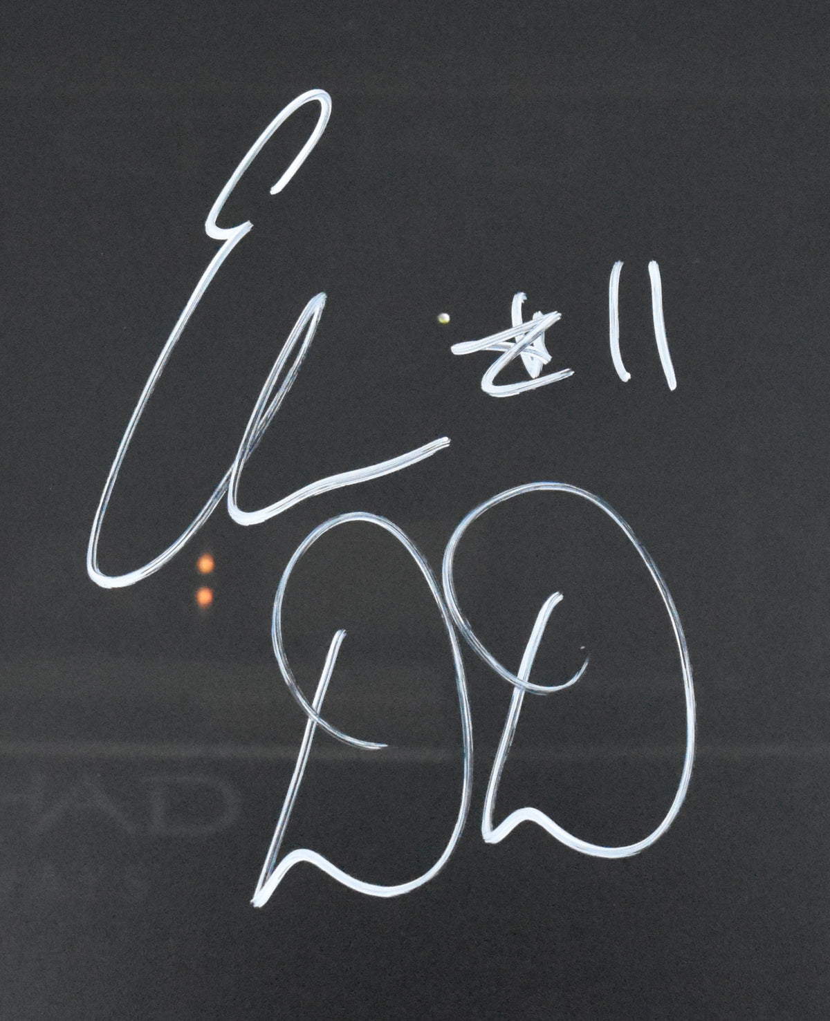 Elena Delle Donne Washington Mystics Autographed 16x20 Photo JSA 212026