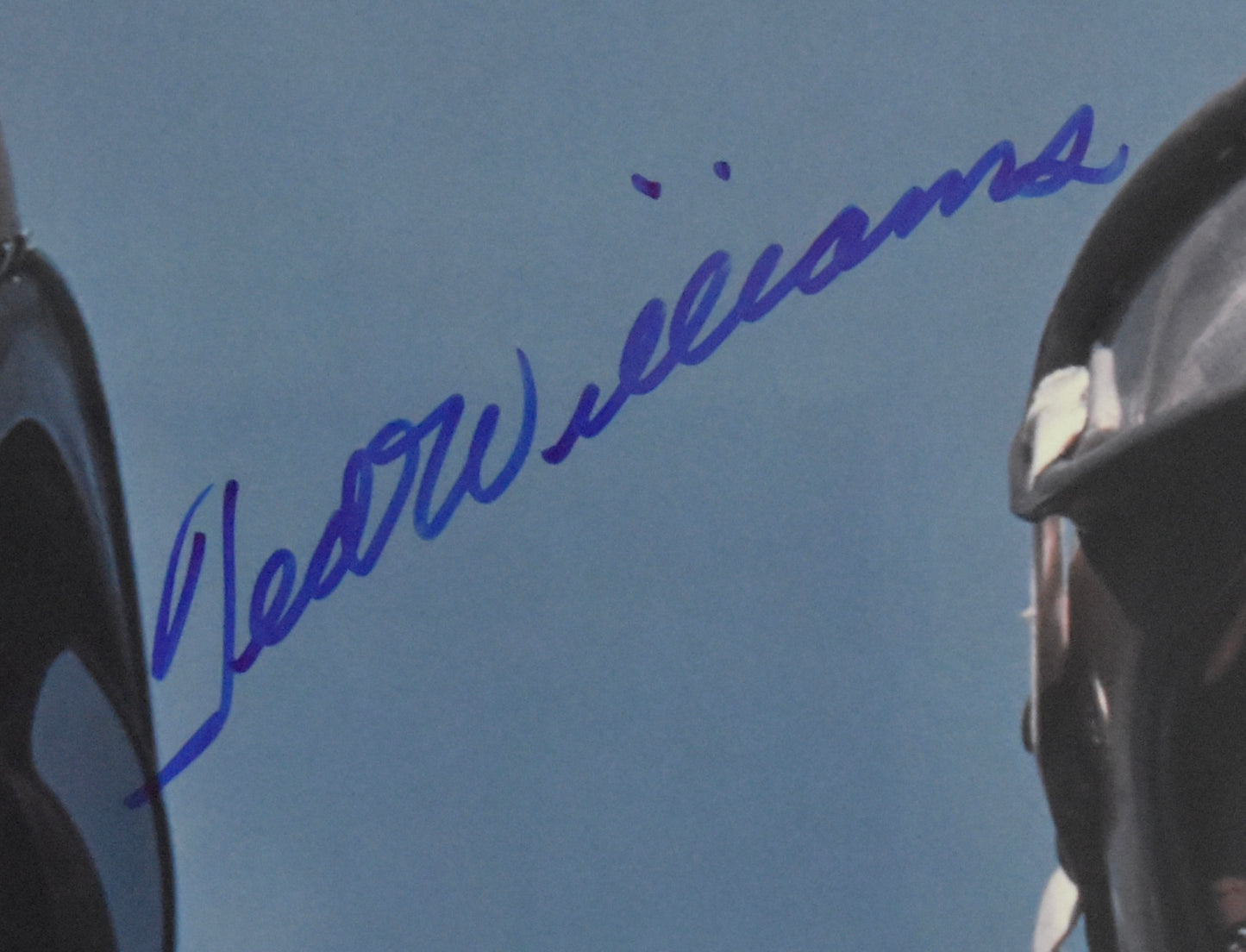 Ted Williams HOF Signed 16x20 Photo Red Sox PSA Letter Green Diamond Holo 212185