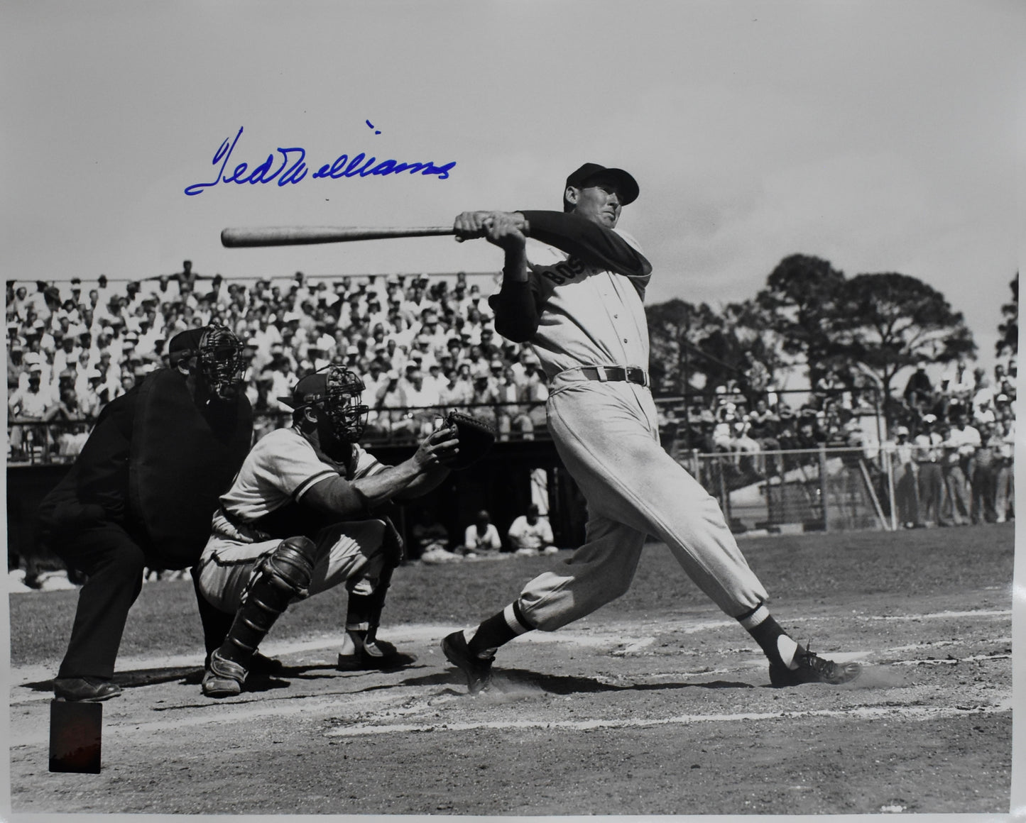 Ted Williams HOF Signed 16x20 Photo Red Sox PSA Letter Green Diamond Holo 212200