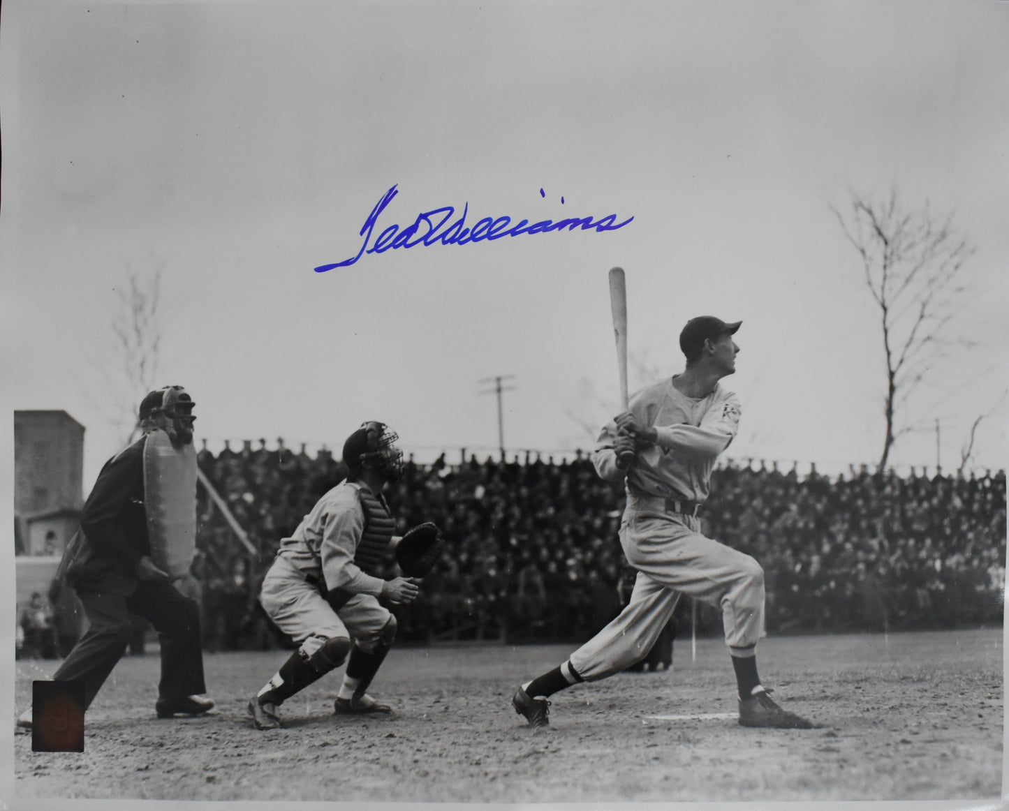 Ted Williams HOF Signed 16x20 Photo Red Sox PSA Letter Green Diamond Holo 212202