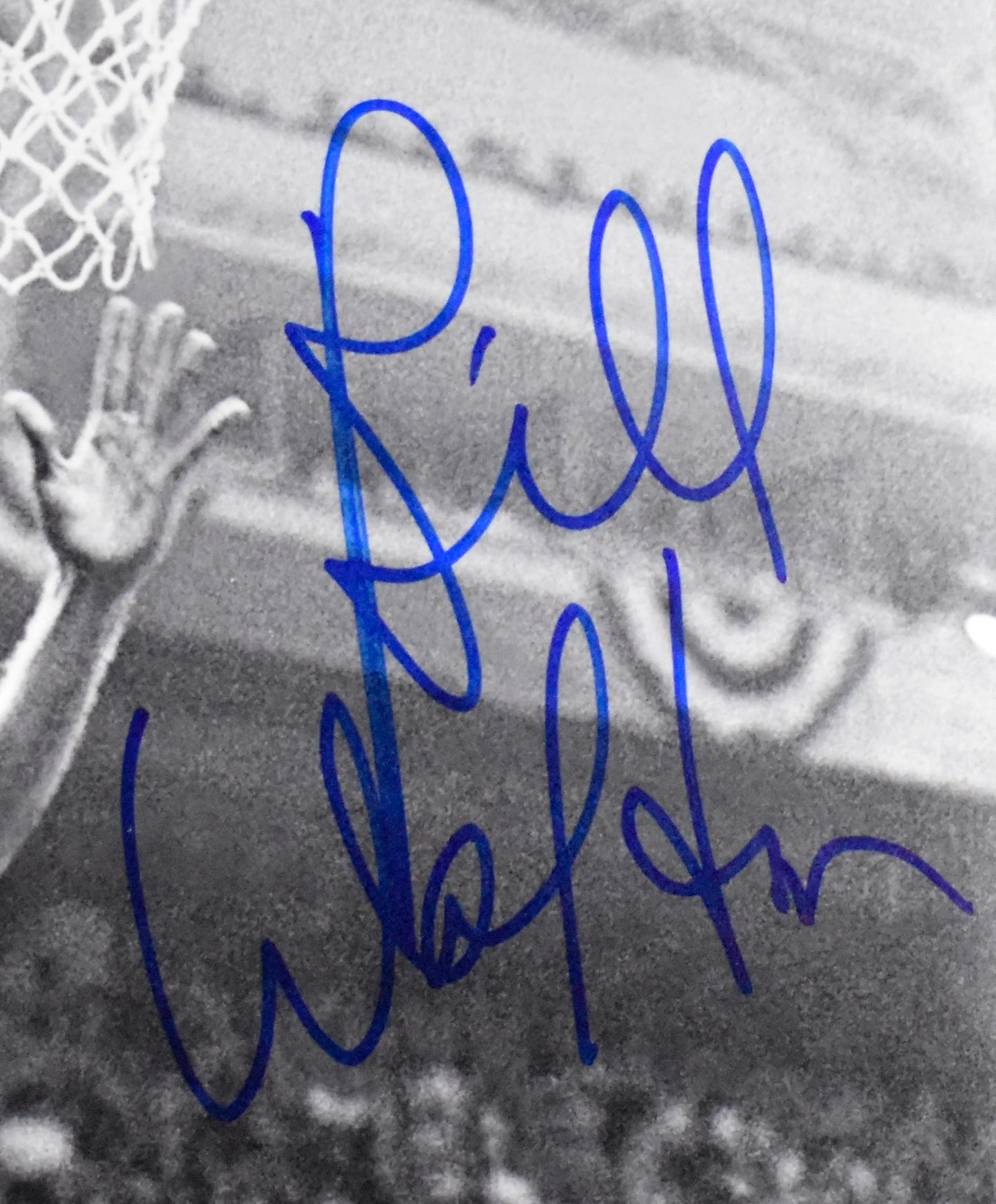 Bill Walton HOF Signed/Autographed 11x14 Photo UCLA JSA 212223
