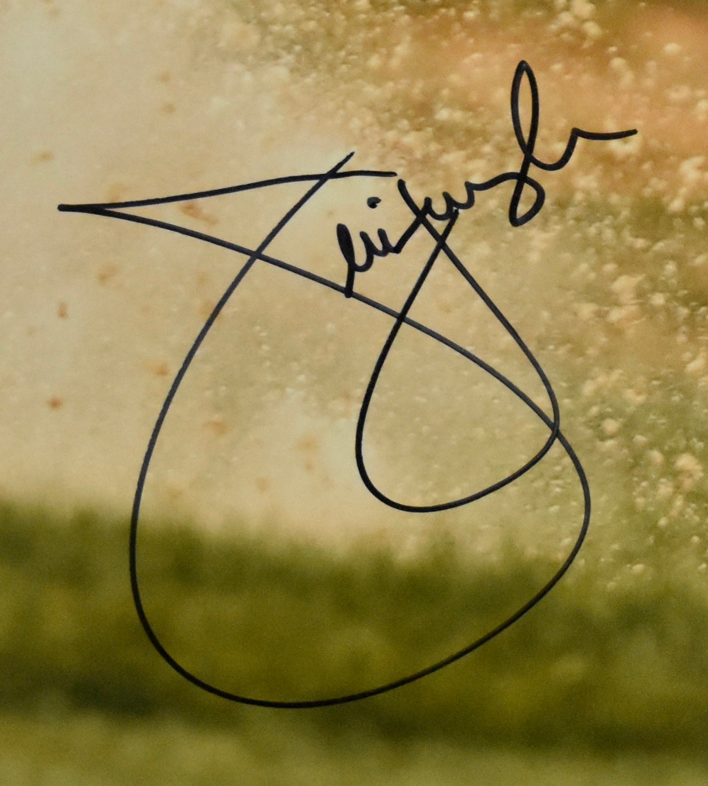 Jim Furyk Signed/Autographed 11x14 Photo Golf JSA 212228