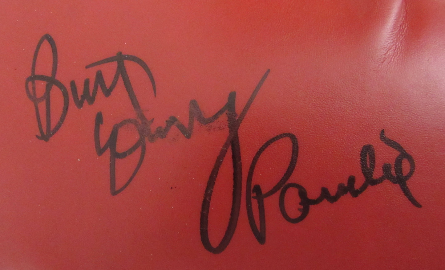 Bart Young Signed/Inscribed "Paulie"  Right Red Everlast Boxing Glove JSA 213334