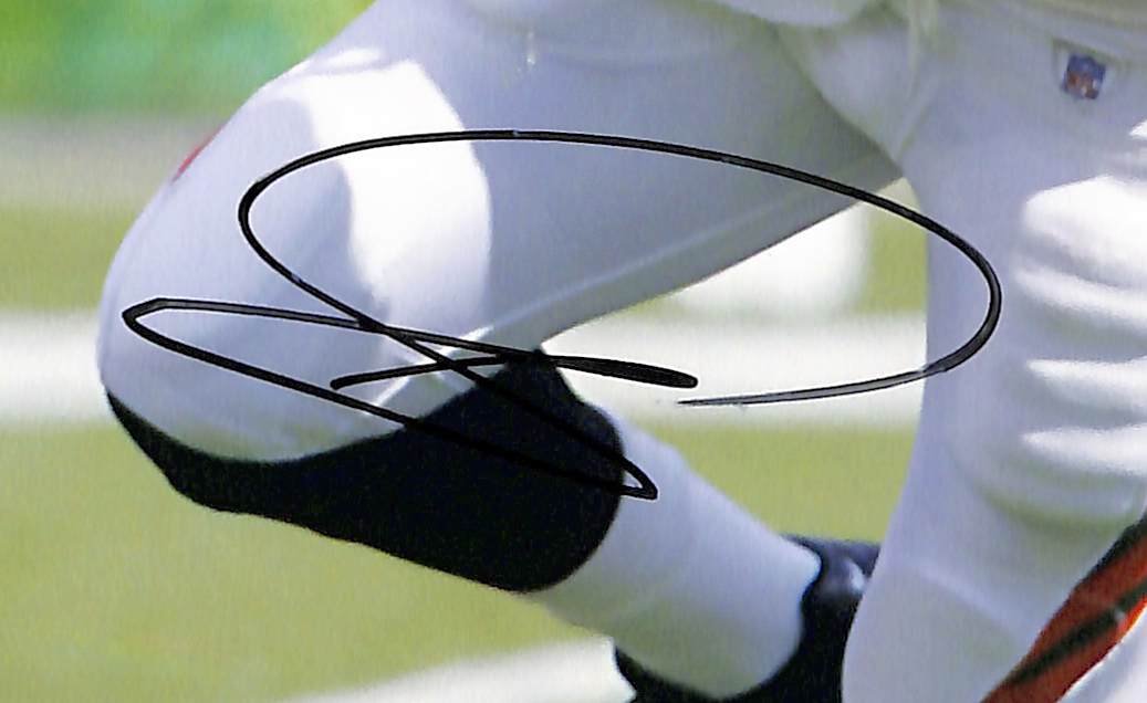 Carson Palmer Signed/Autographed 8x10 Photo Bengals BAS 213773