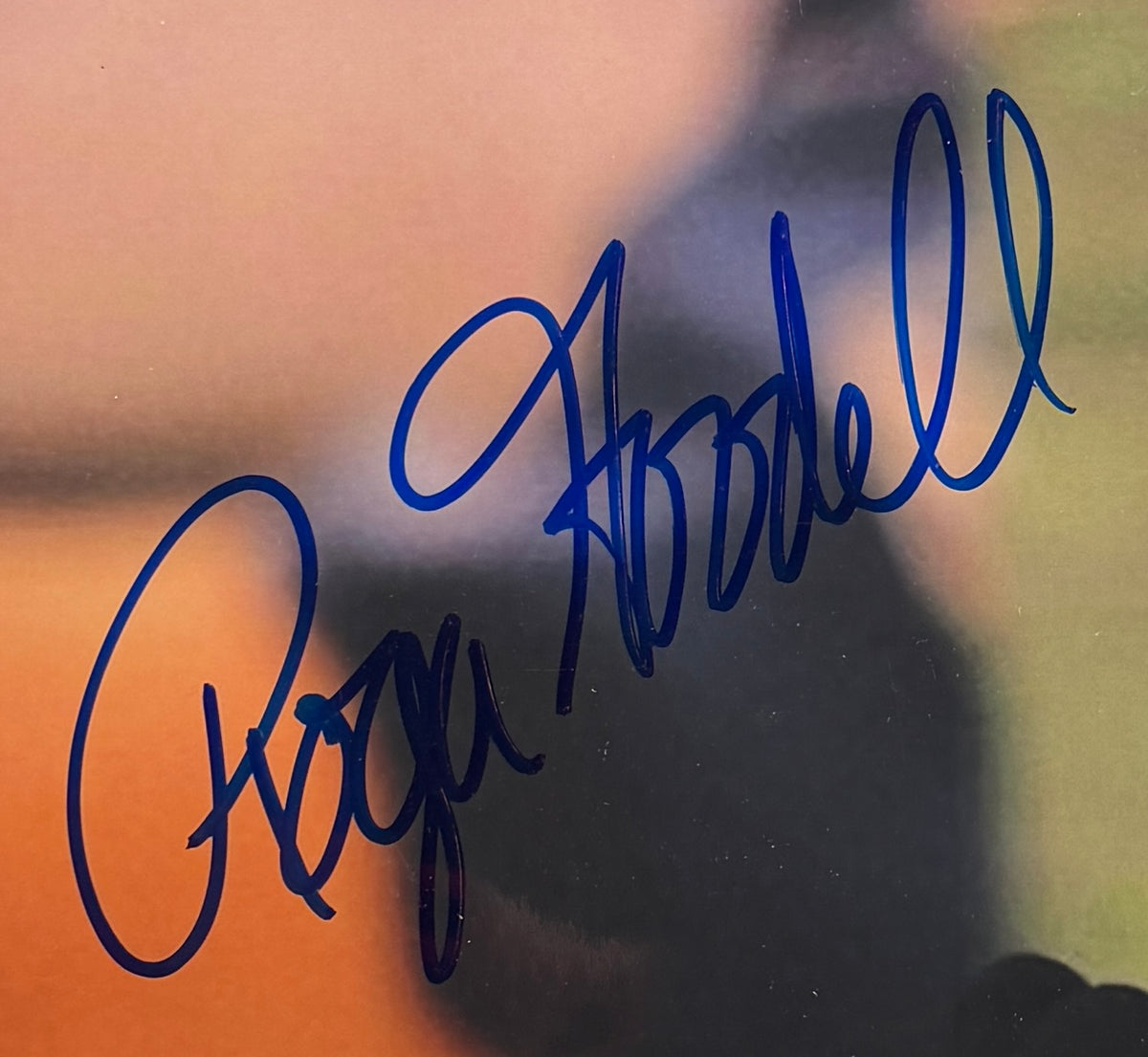 Roger Goodell Signed/Autographed 8x10 Photo NFL Commissioner BAS 213788