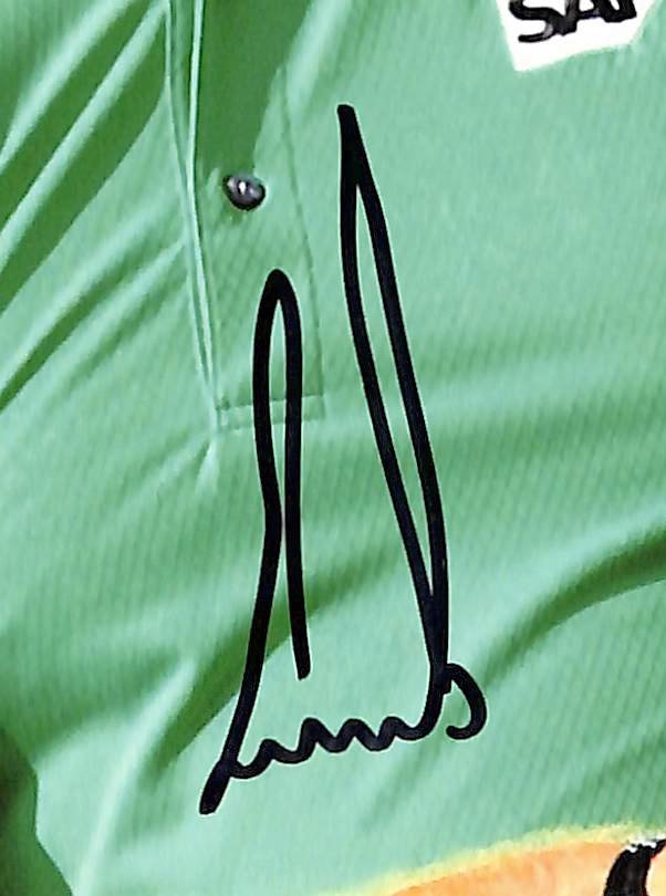 Ernie Els Signed/Autographed 8x10 Photo PGA Golf JSA 213719