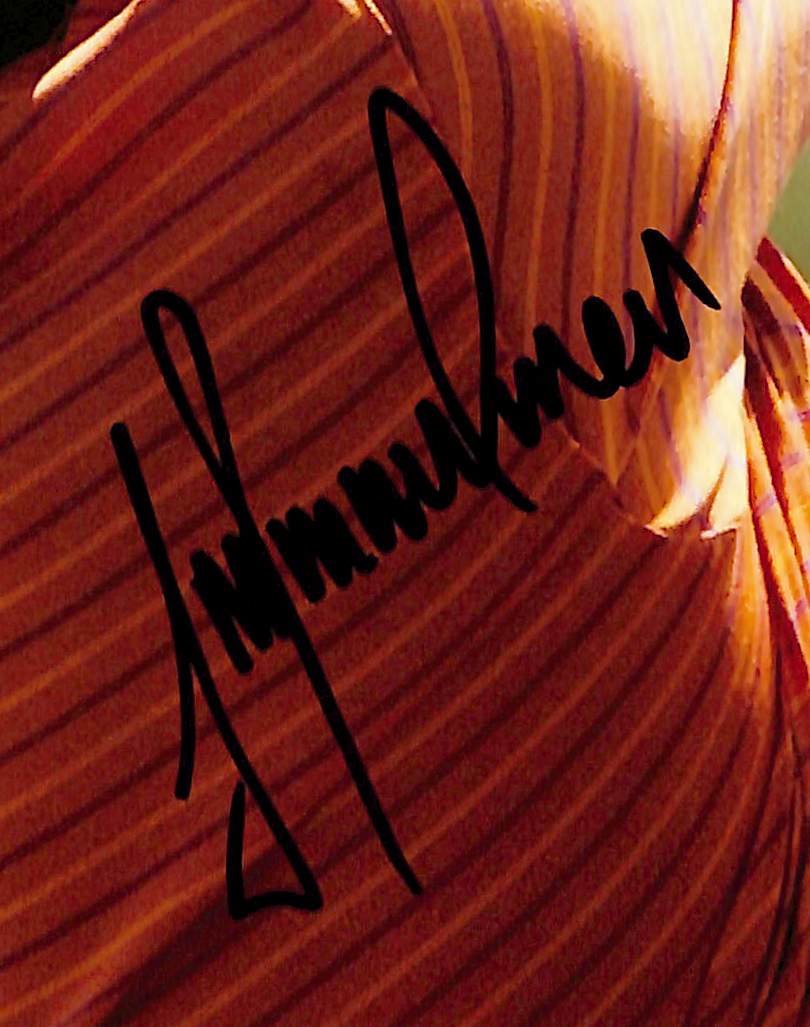 Trevor Immelman Signed/Autographed 8x10 Photo PGA Golf JSA 213721