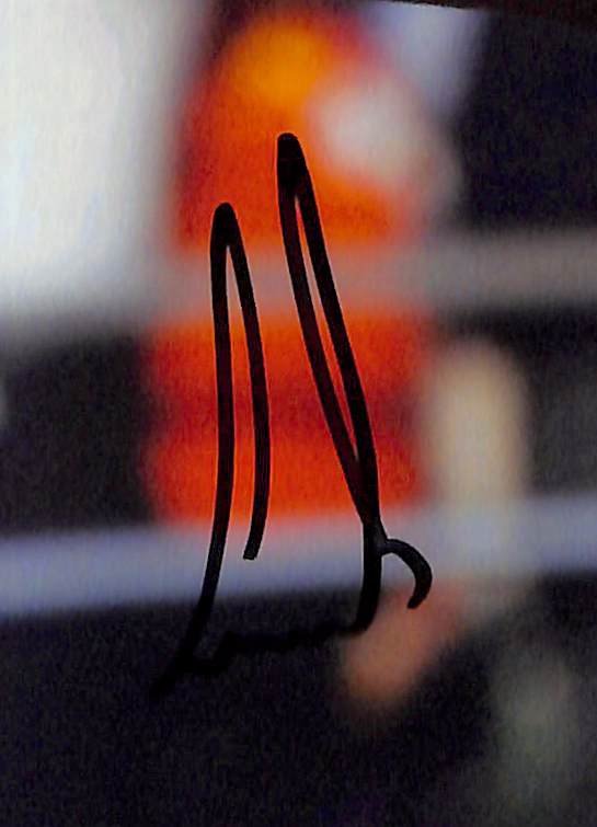 Ernie Els Signed/Autographed 8x10 Photo PGA Golf JSA 213725