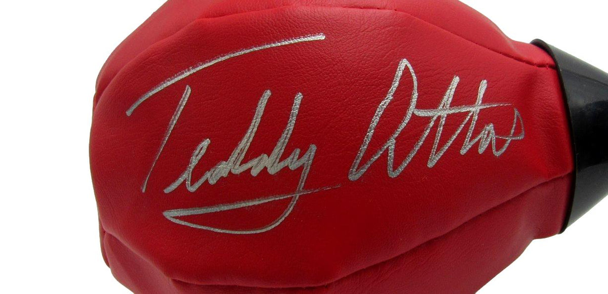 Teddy Atlas Signed/Autographed 15 Inch Punching Bag JSA XHC168