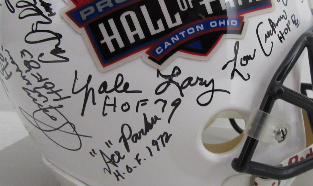 NFL Hall of Famers Multi-Signed (24) Full Size Replica Football Helmet 213070