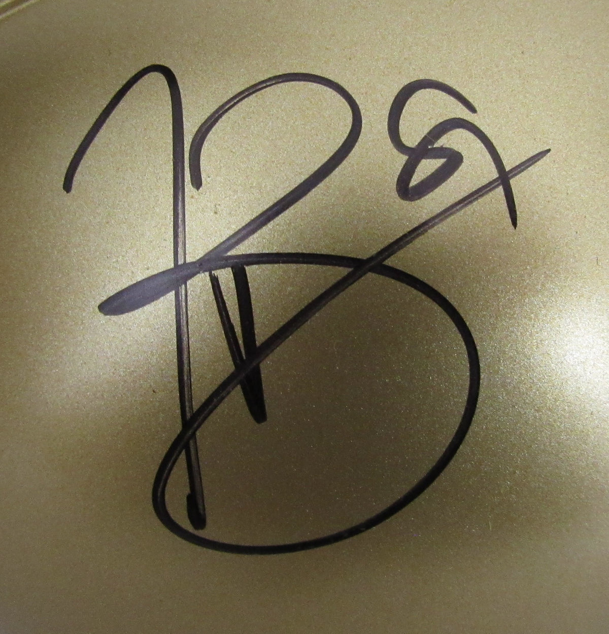 Tim Brown Signed/Autographed Notre Dame Mini Football Helmet JSA 213092