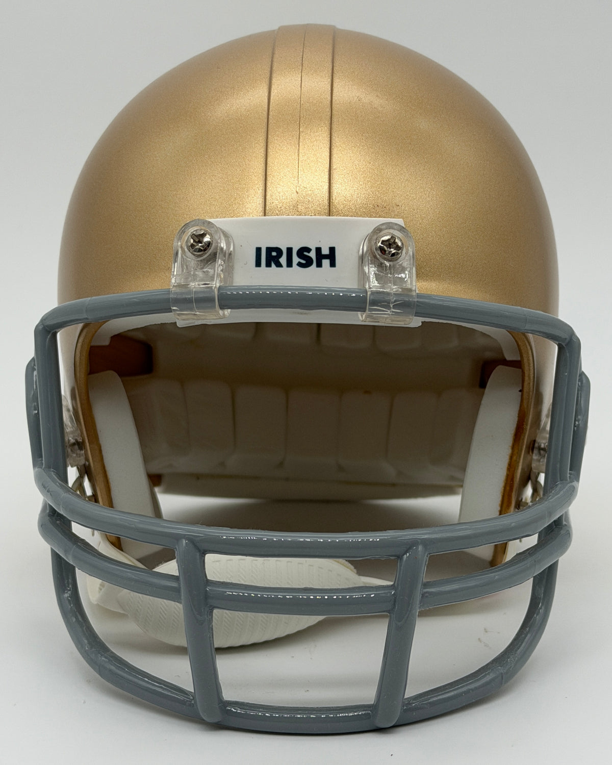 Golden Tate Signed/Autographed Notre Dame Mini Football Helmet JSA 214895