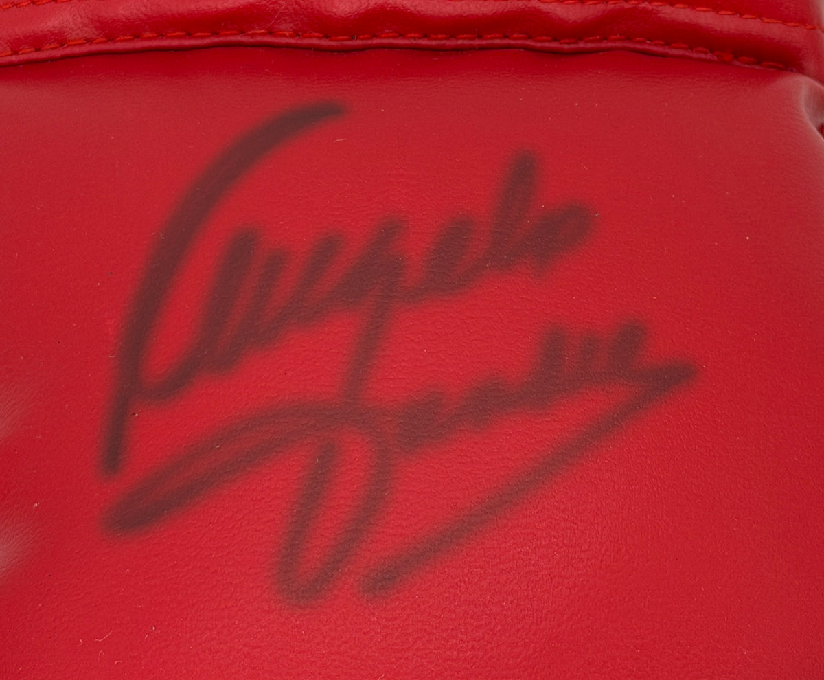 Angelo Dundee Signed/Autographed Red Right Everlast Boxing Glove JSA 214883