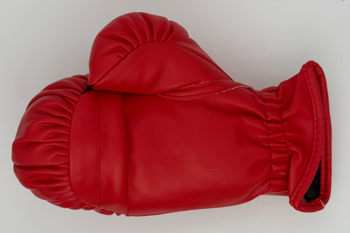 Floyd Mayweather Signed/Autographed Red Right Everlast Boxing Glove JSA 214889