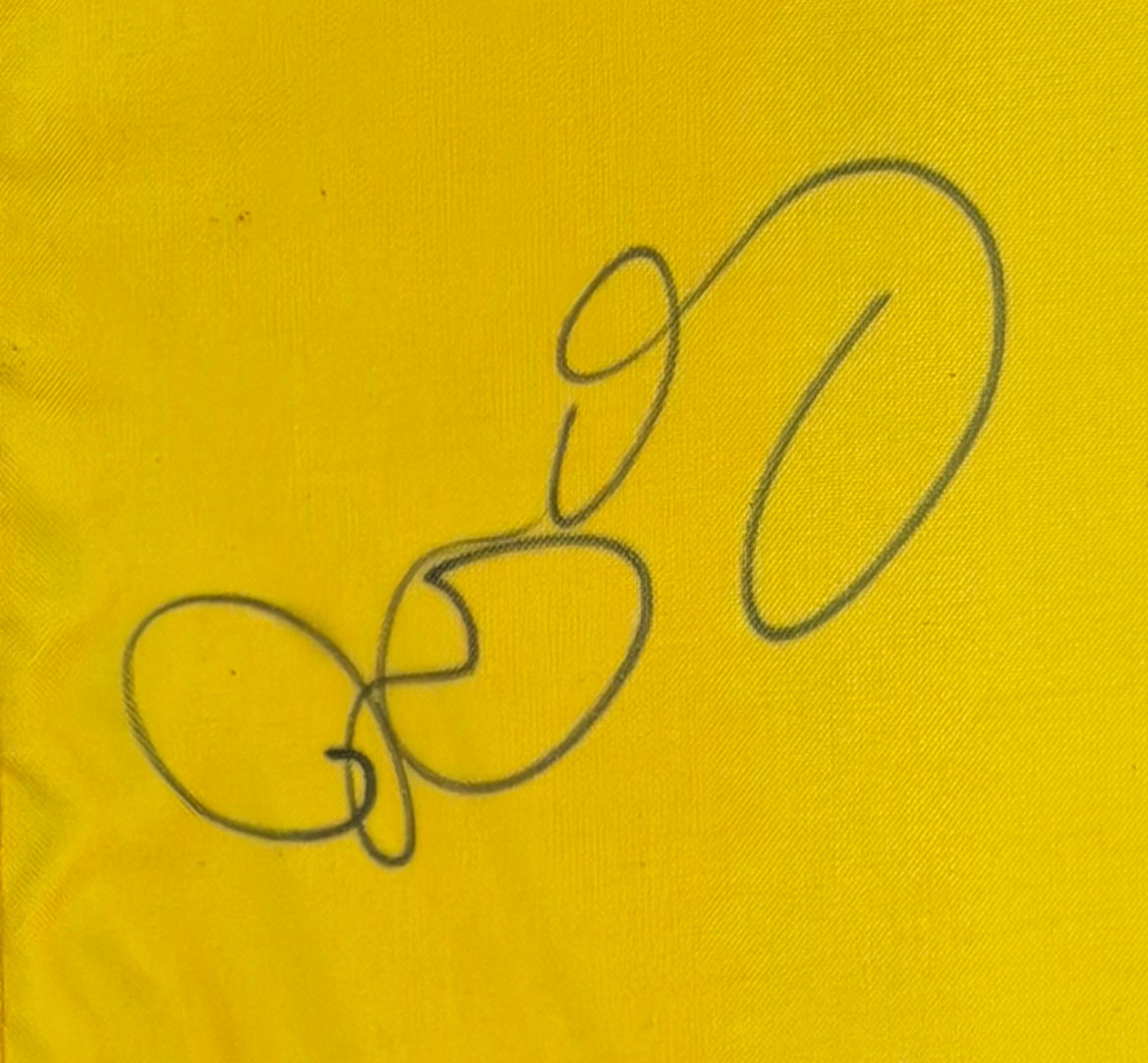 Rory McIlroy Signed/Autographed 2012 Ryder Cup Medinah Pin Flag JSA 215472