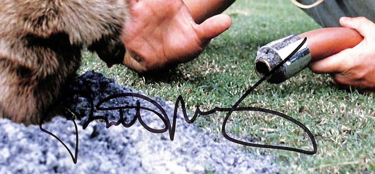 Bill Murray Caddyshack Signed/Autographed 8x10 Photo JSA 215512