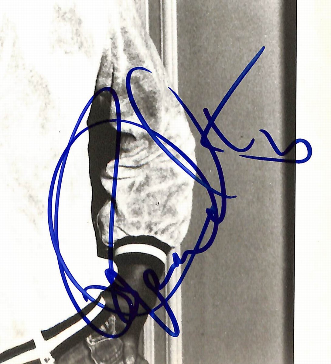 Roger Daltrey Signed/Autographed 8x10 Photo The Who JSA 214438