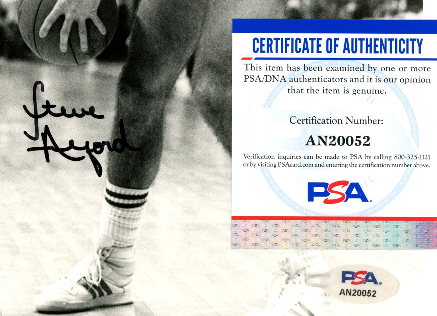 Steve Alford Signed/Auto 8x10 Photo Indiana University PSA/DNA 188069