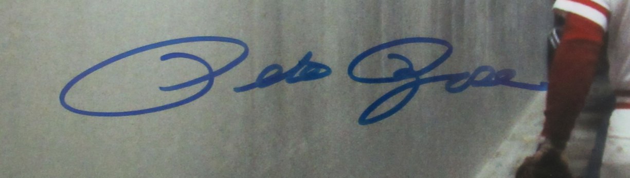 Pete Rose Cincinnati Reds Autographed/Signed 16x20 Photo JSA 189705