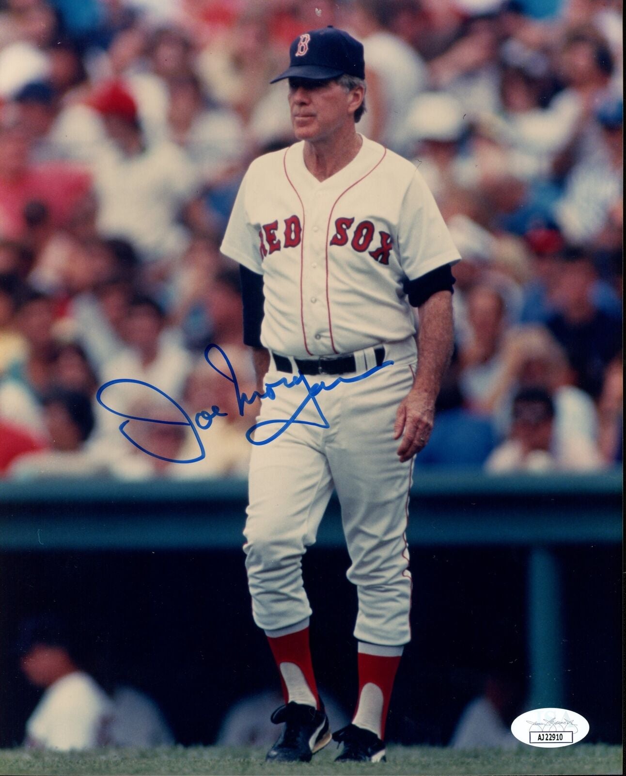 Joe Morgan Autographed 8x10 Photo Boston Red Sox JSA 177840