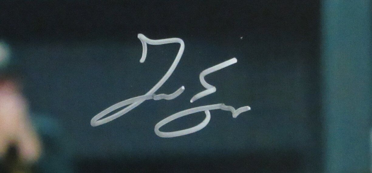 George Springer Houston Astros Signed/Autographed 16x20 Photo Fanatics 165139