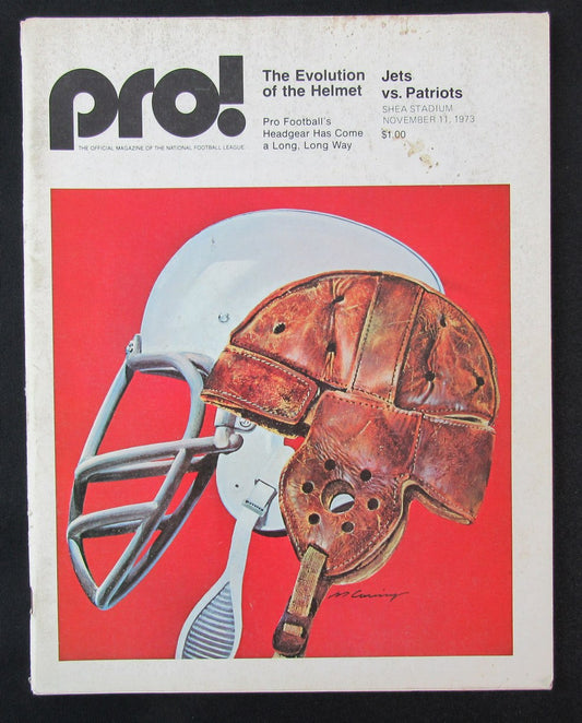 1973  New York Jets vs. New England Patriots Program 11/11/73 172397