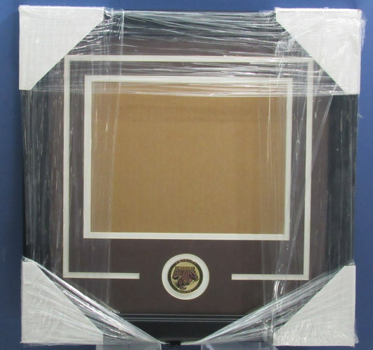 Hershey Bears Horizontal 8"x10" Photo DIY NEW Frame Kit 188698