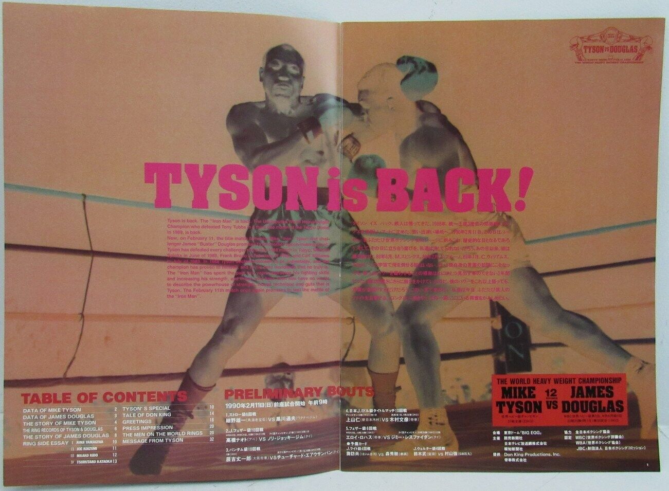 Buster Douglas Signed 1990 Heavyweight Championship Program 162749