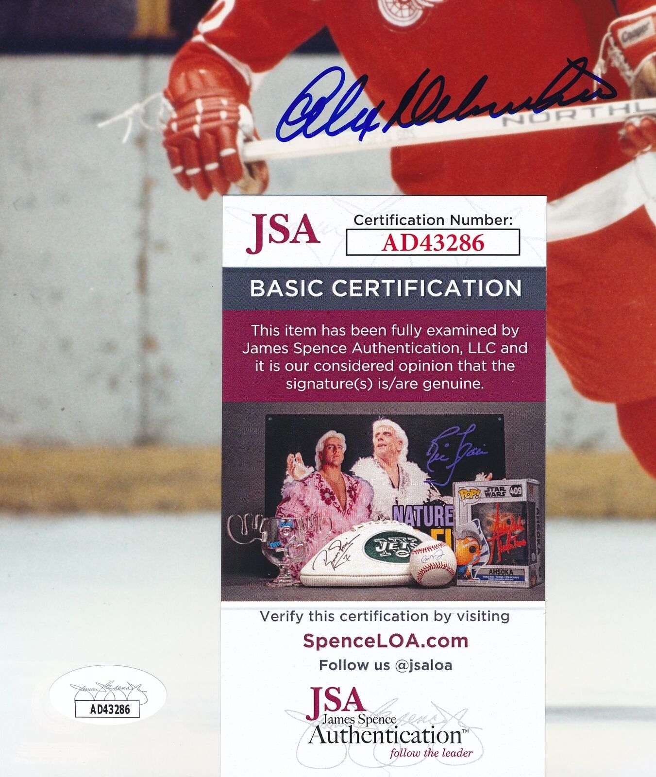 Alex Delvecchio Autographed 8x10 Photo Detroit Red Wings JSA