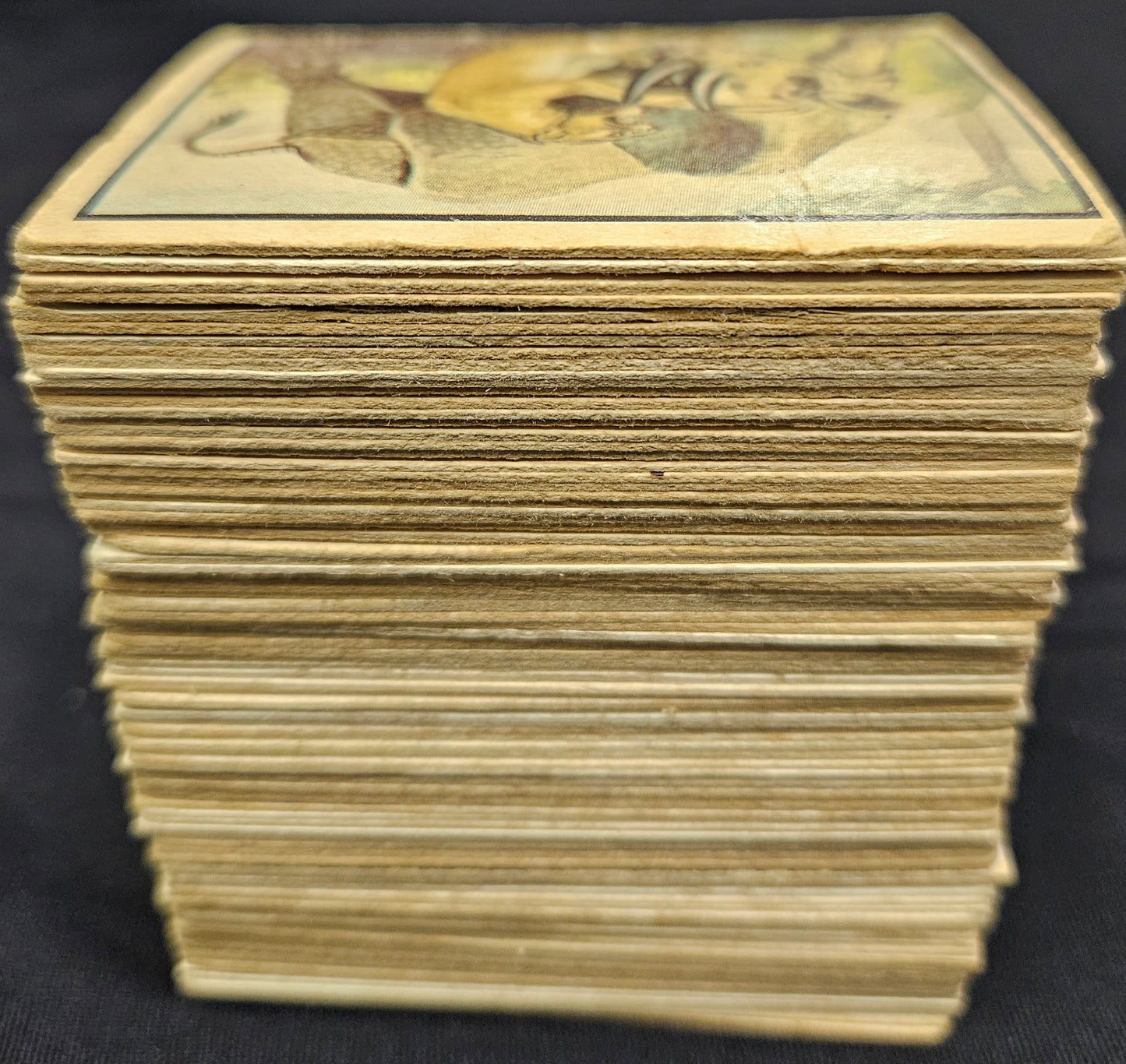 1950 Topps Bring Em Back Alive complete set of 100 cards 184701