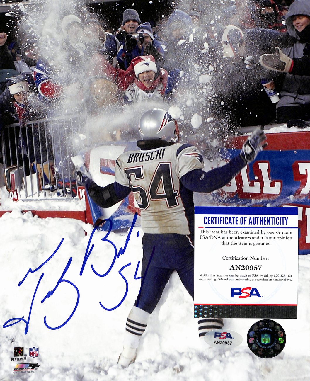 Tedy Bruschi Signed/Auto 8x10 Photo New England Patriots  PSA/DNA 189041