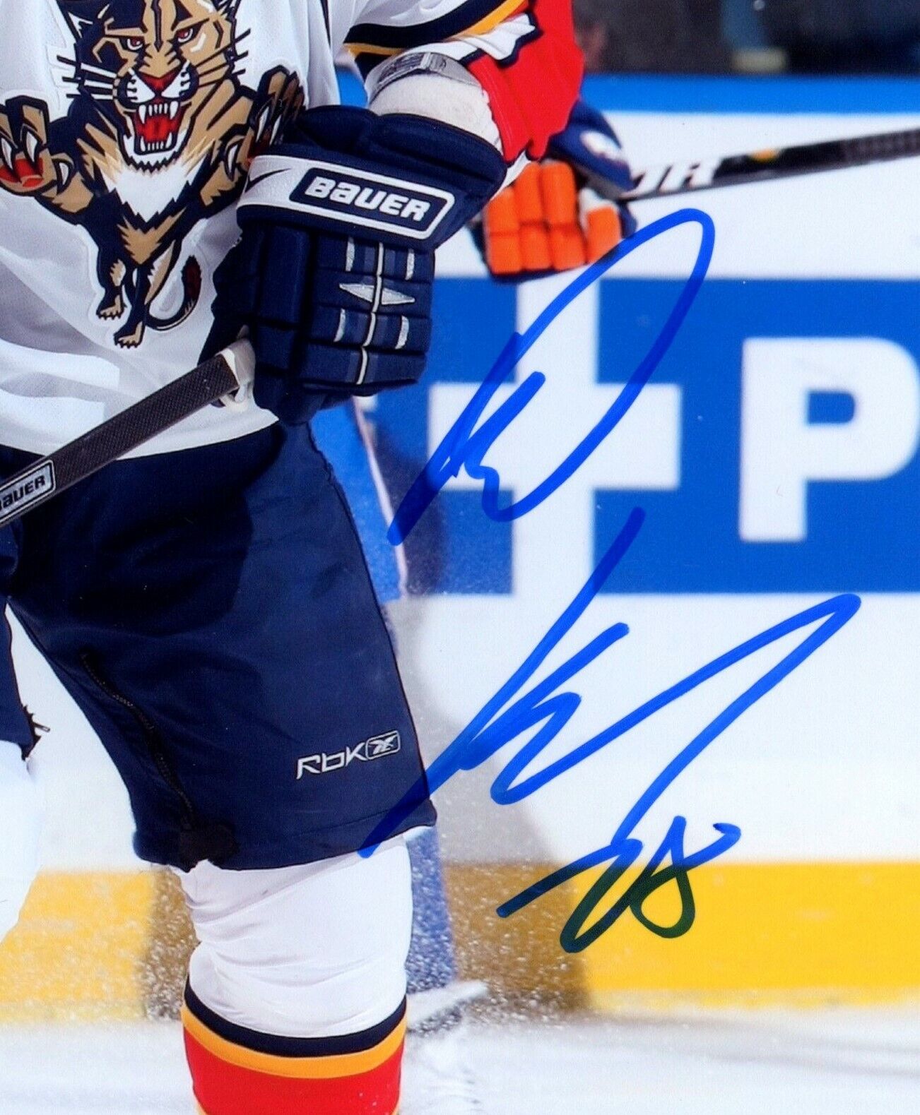 Kamil Kreps Florida Panthers Signed/Autographed 8x10 Photo 153081