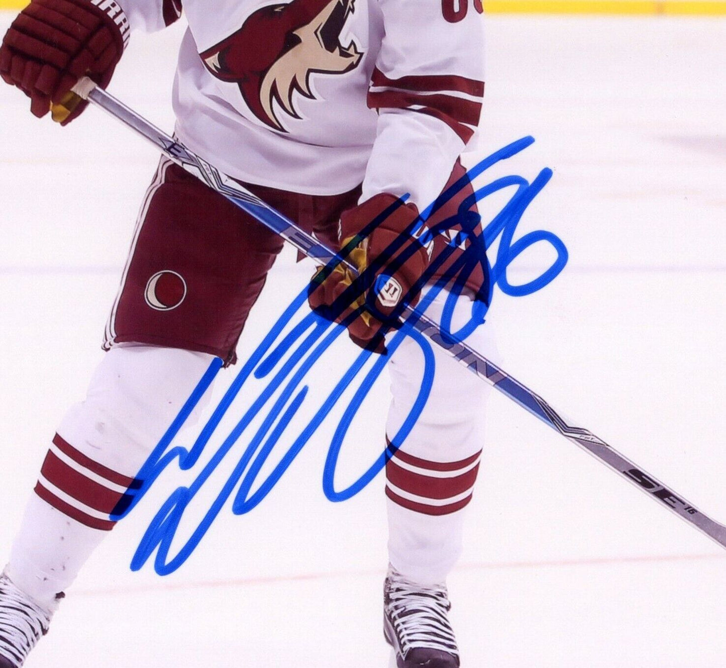 Wojtek Wolski Phoenix Coyotes Signed/Autographed 8x10 Photo 153057