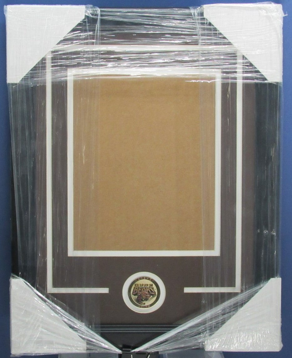 Hershey Bears Vertical 8"x10" Photo DIY NEW Frame Kit 188703