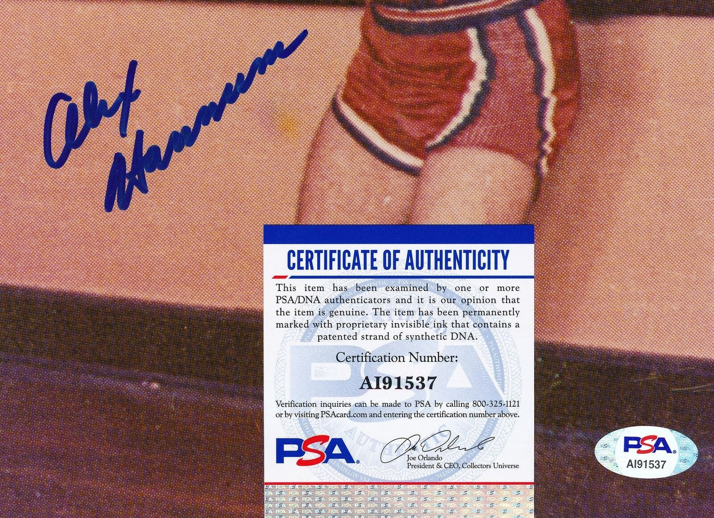Alex Hannum St. Louis Hawks Signed/Autographed 8x10 Photo PSA/DNA 159741