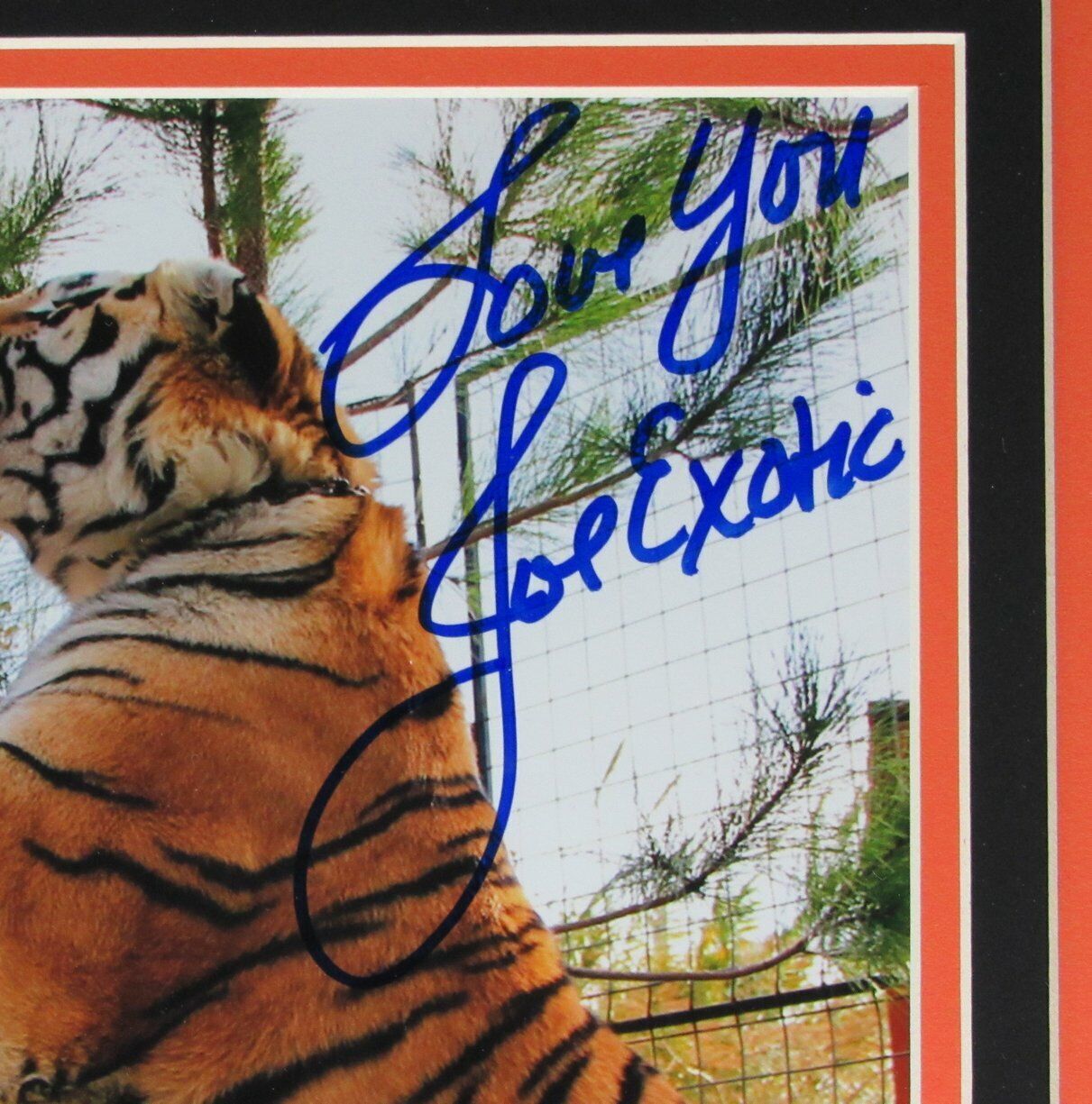 Joe Exotic Tiger King Signed/Inscr "Love You" 8x10 Photo Framed JSA 161727