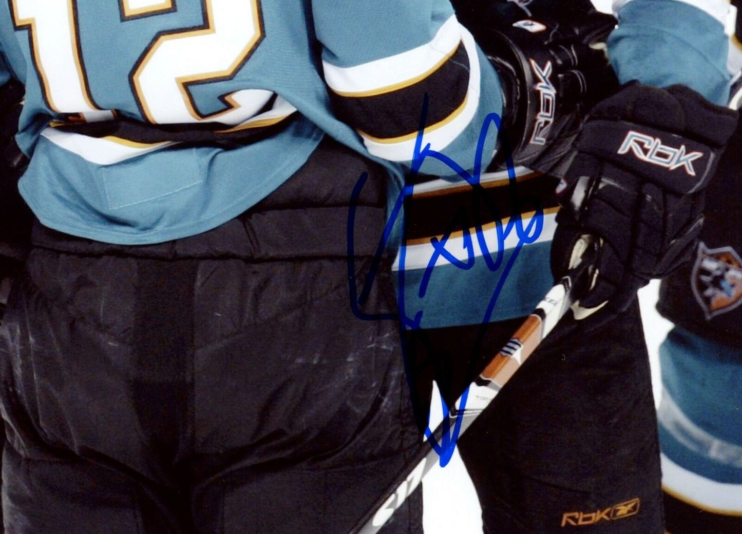 Steve Bernier San Jose Sharks Signed/Autographed 8x10 Photo 153370