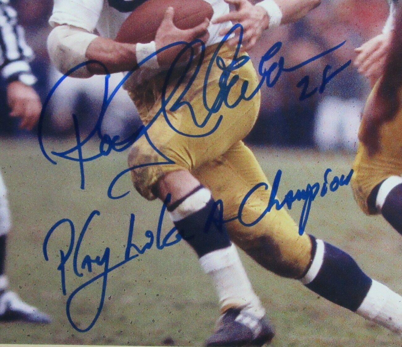 Rocky Bleier Notre Dame 1966 Signed/Inscribed 11x14 Photo FramedJSA 147572