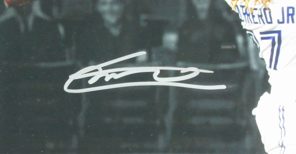 Vladimir Guerrero Toronto Blue Jays Signed/Auto 16x20 Photo Framed BAS 163282