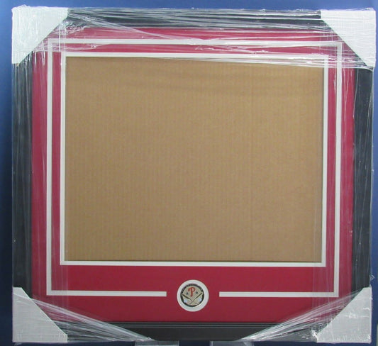 Phillies Horizontal 16"x20" Photo DIY NEW Frame Kit  w/ Red/White Border 188686