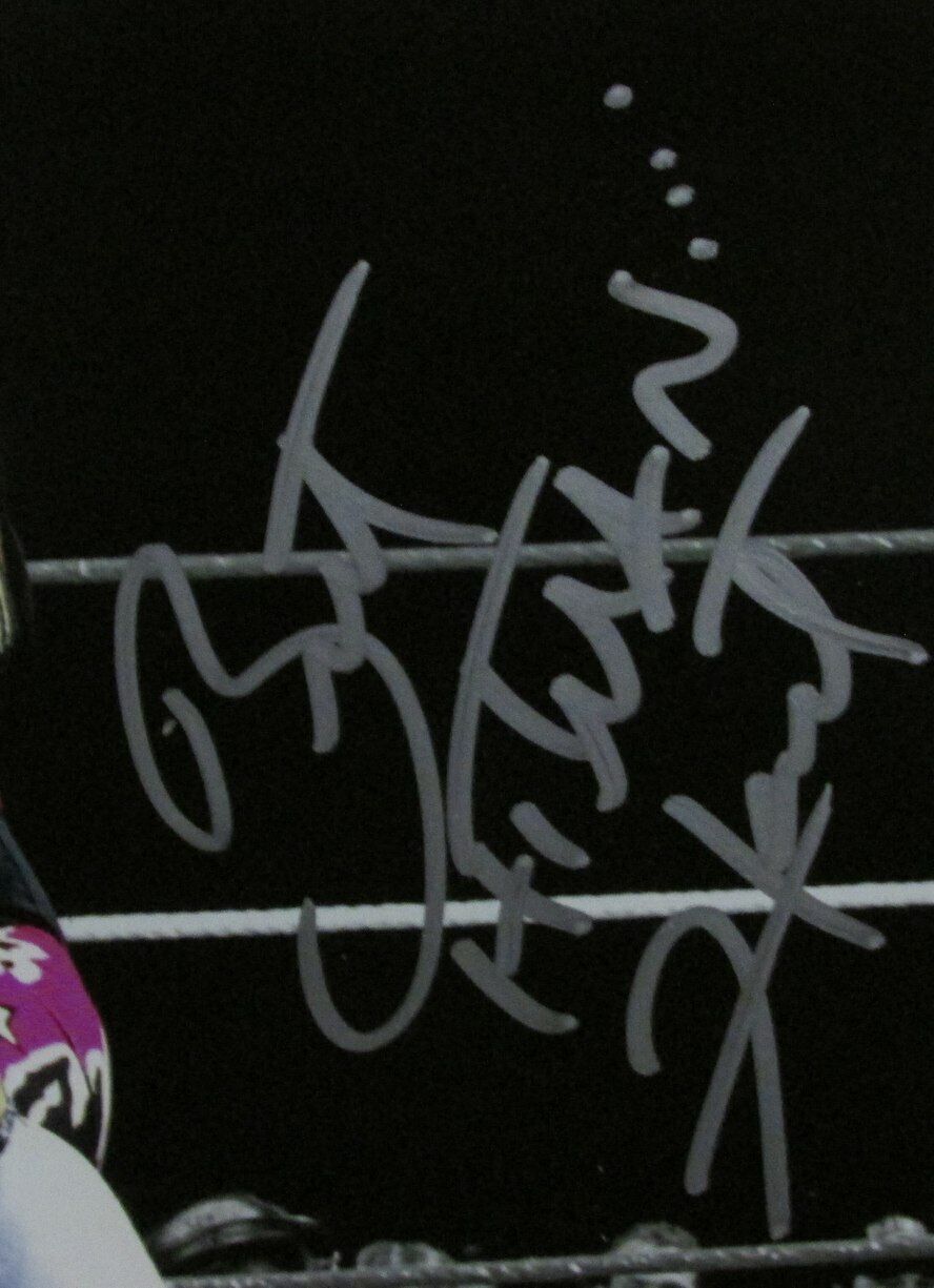 Bret Hart WWF Champion Autographed 8x10 Photo JSA