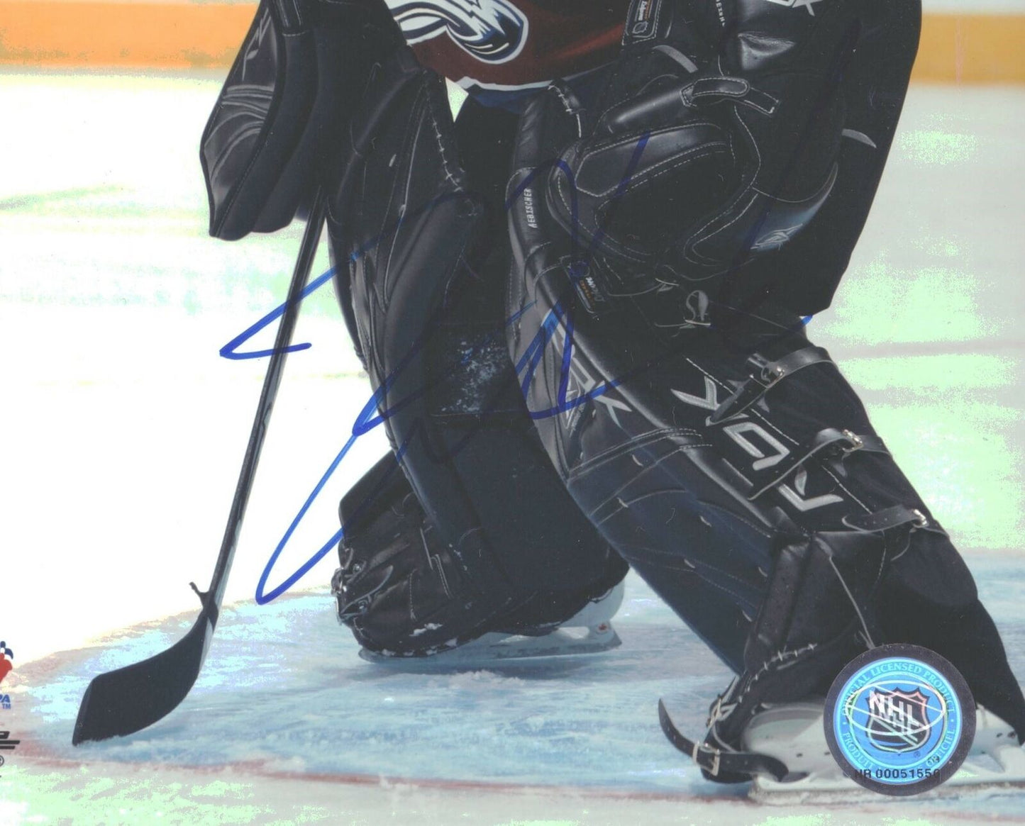 David Aebischer Columbus Blue Jackets Signed/Autographed 8x10 Photo 152686