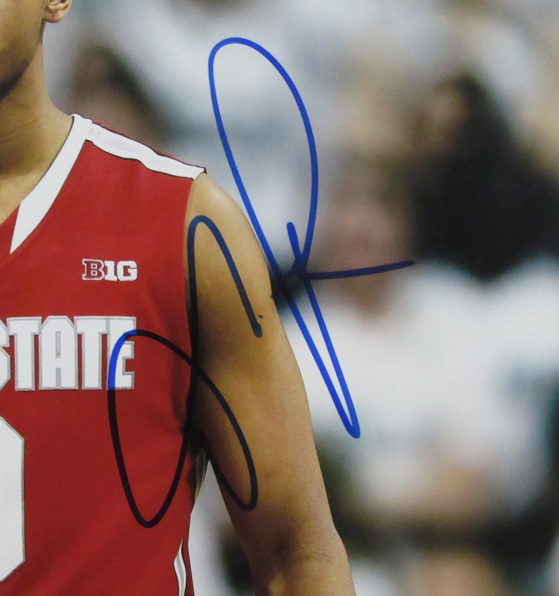 Russell DeAngelo Autographed 11x14 Basketball Photo Ohio State Beckett 172695